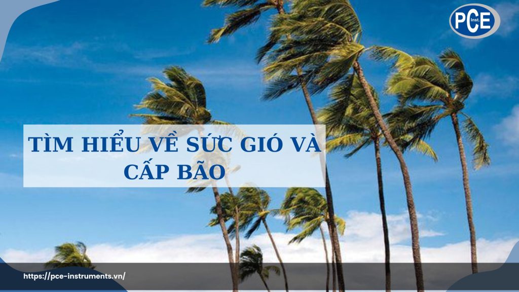 Tìm hiểu về sức gió và cấp bão