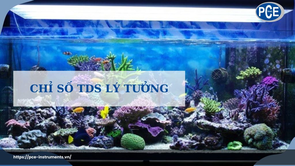 Chỉ số TDS lý tưởng