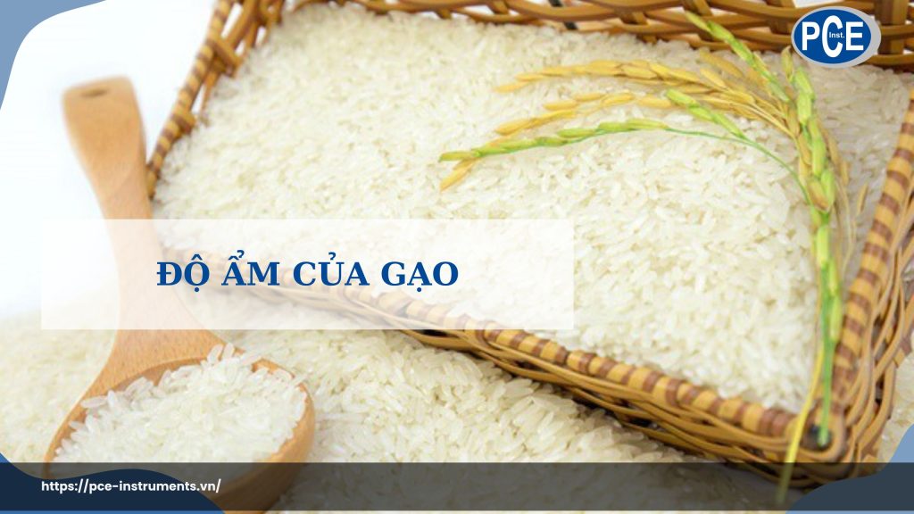 Độ ẩm của gạo