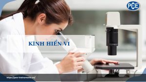 Kính hiển vi